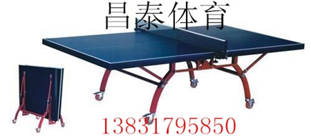 CTQ-008雙折疊乒乓球臺